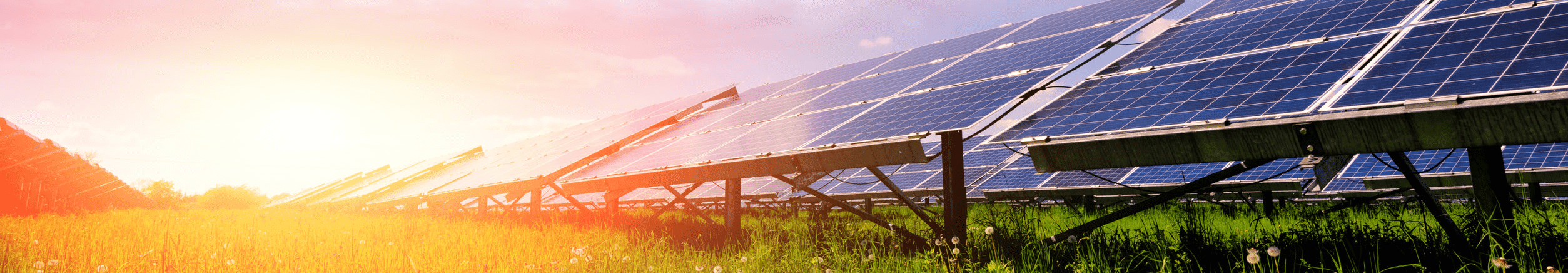Solar farm at sunset